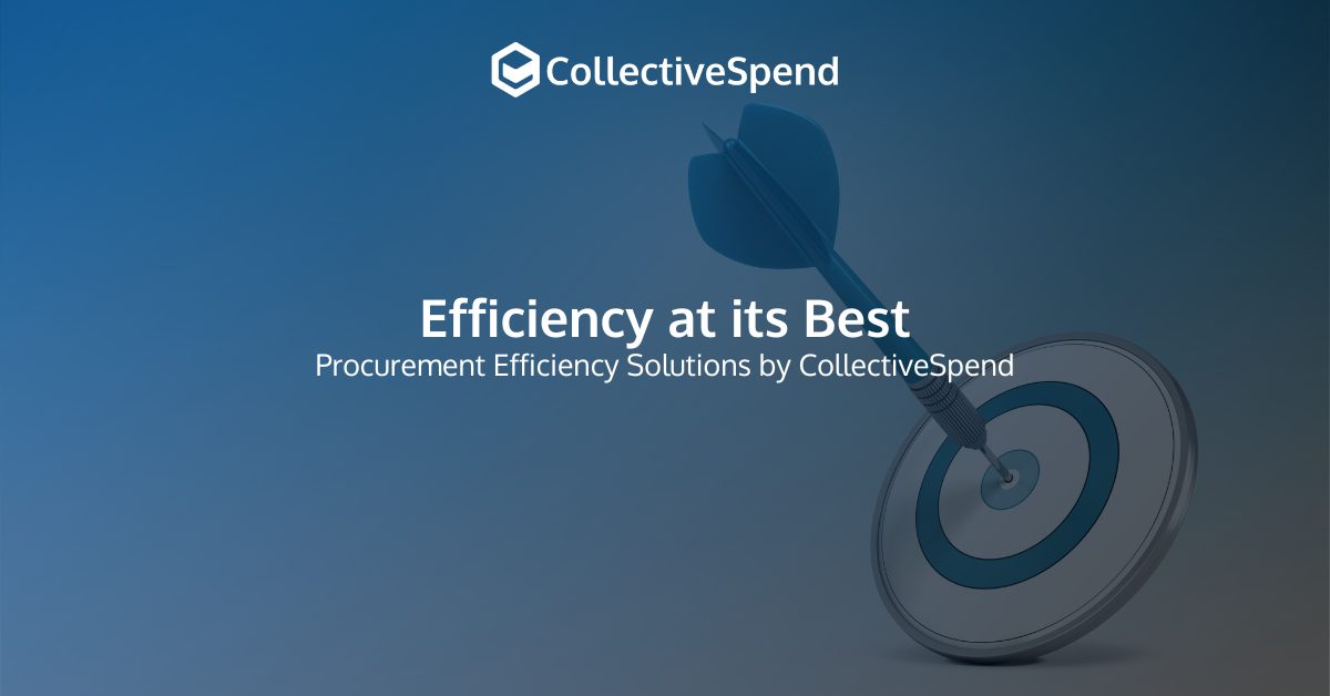 Efficiency at its Best: Procurement Efficiency Solutions