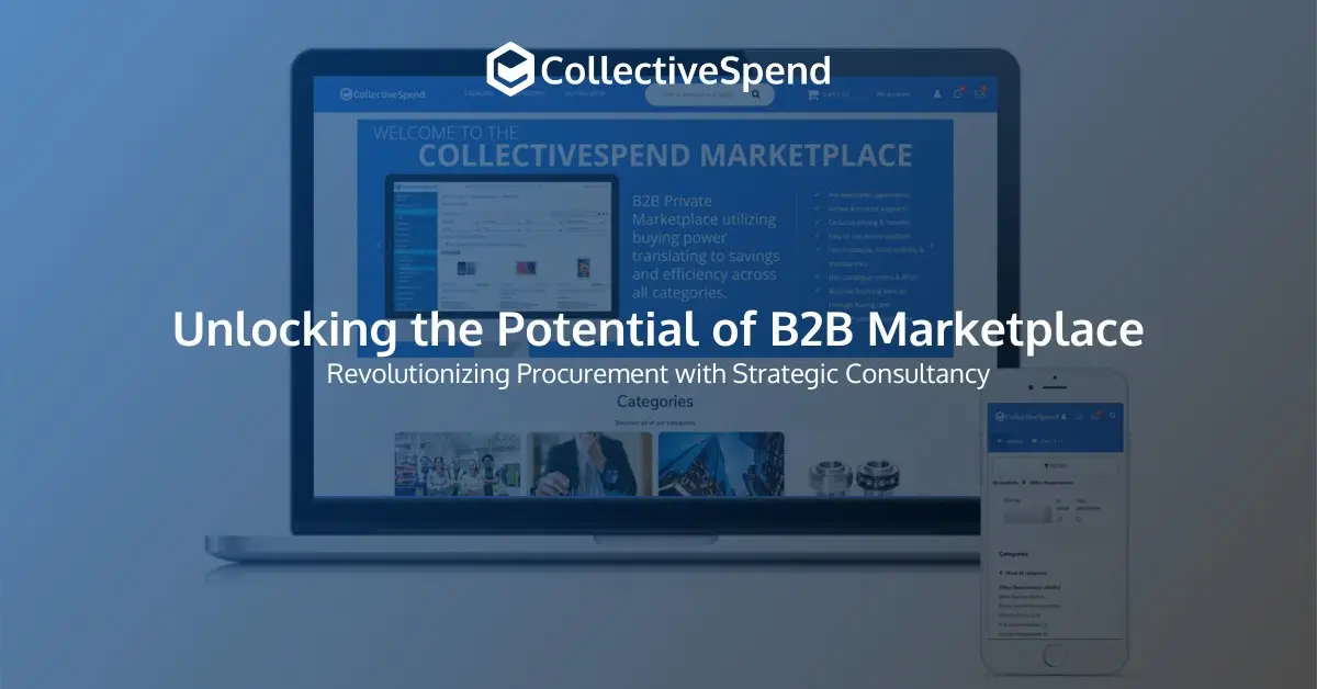Unlocking the Potential of B2B Marketplace